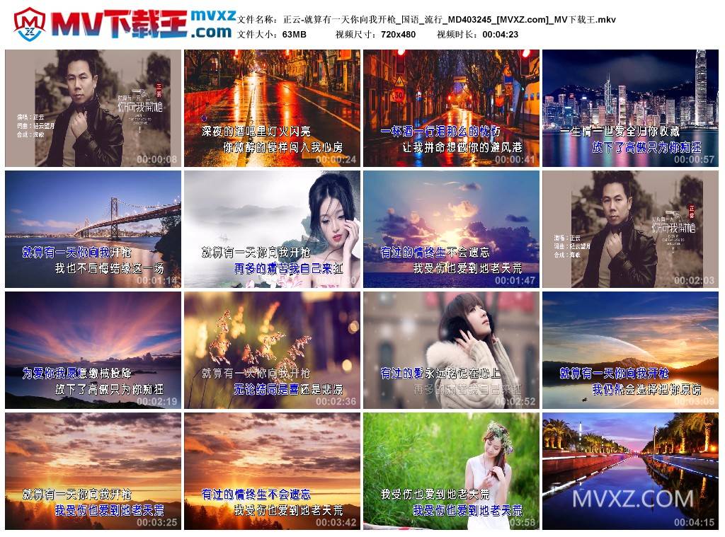 正云-就算有一天你向我开枪_国语_流行_MD403245